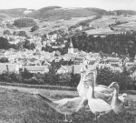 Blick vom Arzberg