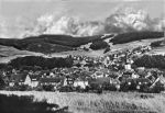 Blick von der Linde